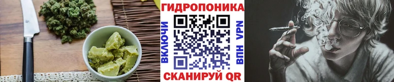 kraken   Свирск  Canna-Cookies марихуана 