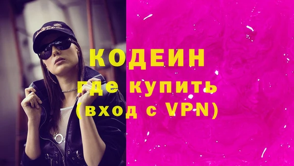 стафф Заводоуковск