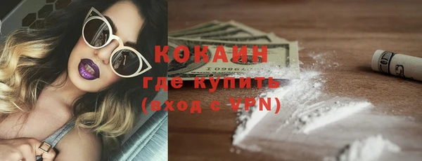 индика Заволжье