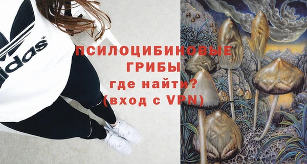 стафф Заводоуковск