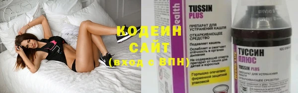 стафф Заводоуковск