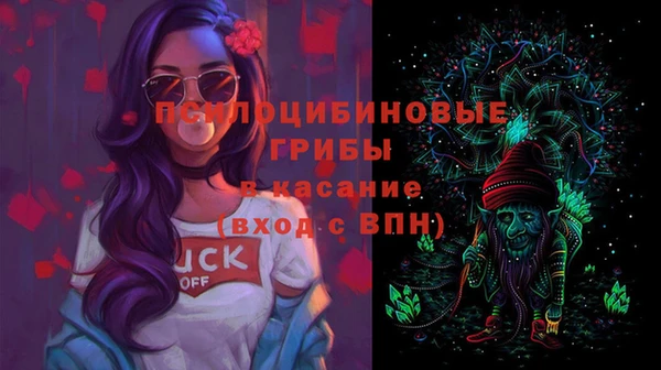 стафф Заводоуковск
