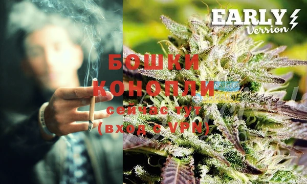 стафф Заводоуковск