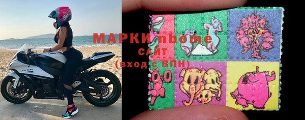индика Заволжье