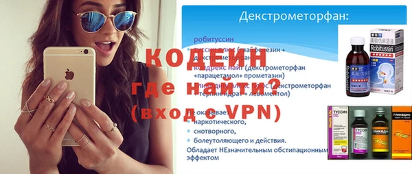 индика Заволжье